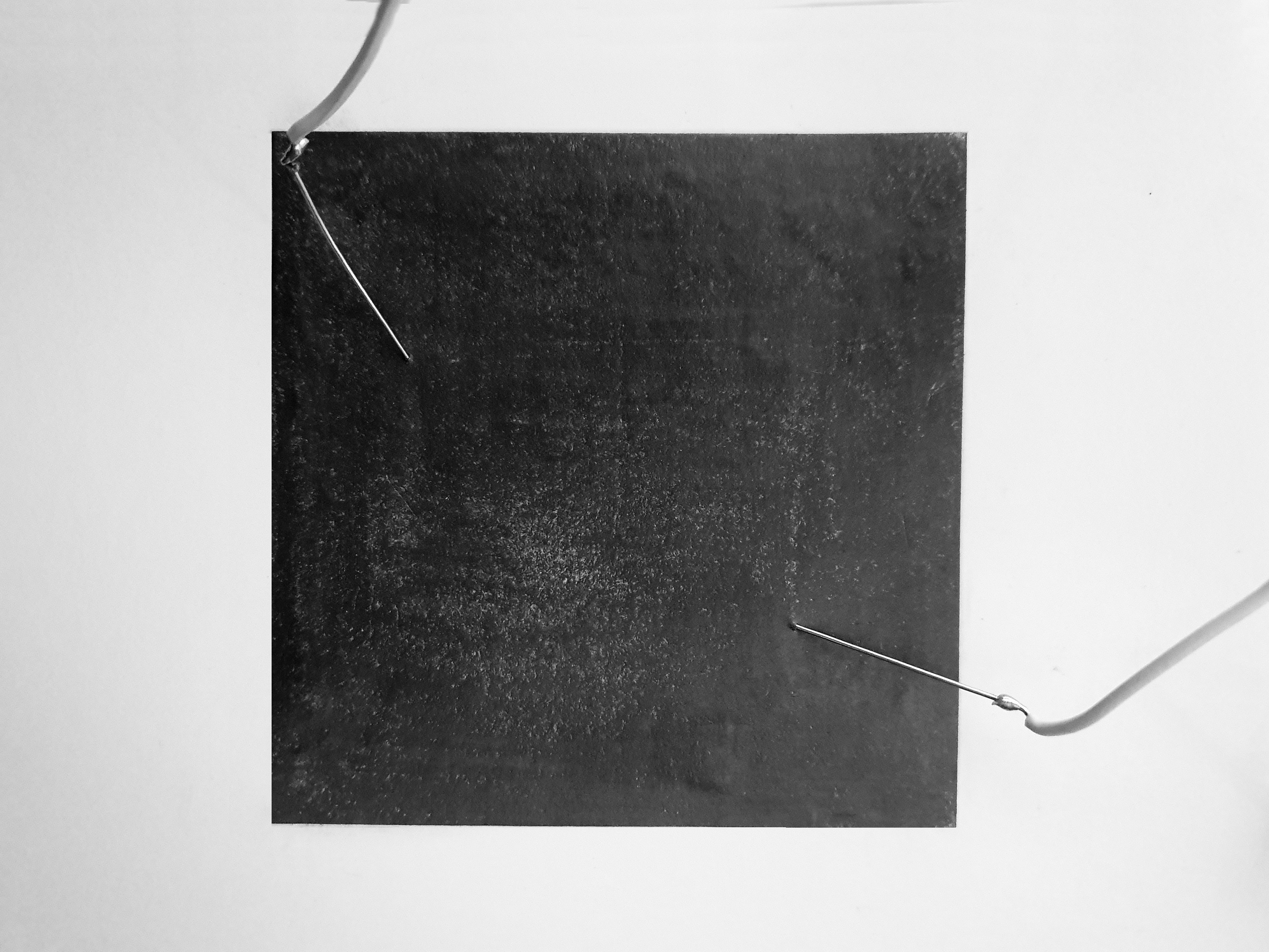 L'herbier - (Conversions et rémanences sensibles – chez Madeleine Fredrikson) 2019